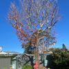 Portfolio image 12 of 83