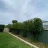 Portfolio image 6 of 138