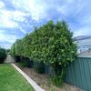Portfolio image 1 of 138