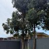 Portfolio image 1 of 155