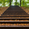 Portfolio image 61 of 77