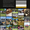 Portfolio image 2 of 5