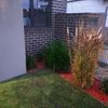 Portfolio image 184 of 234