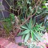Portfolio image 161 of 234