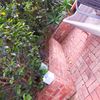 Portfolio image 151 of 234