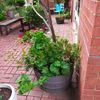 Portfolio image 177 of 234