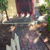 Portfolio image 141 of 234