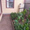 Portfolio image 113 of 234