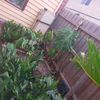 Portfolio image 109 of 234