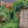 Portfolio image 102 of 234