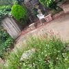 Portfolio image 101 of 234