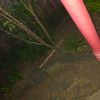 Portfolio image 136 of 234