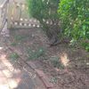 Portfolio image 81 of 234