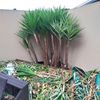 Portfolio image 61 of 234