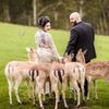 Portfolio image 16 of 52