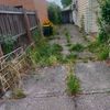 Portfolio image 7 of 234