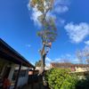 Portfolio image 11 of 27