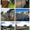 Portfolio image 6 of 37