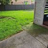 Portfolio image 9 of 25