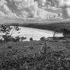 Portfolio image 3 of 34