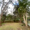 Portfolio image 1 of 68