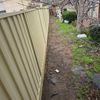 Portfolio image 1 of 65