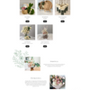 Portfolio image 1 of 5