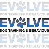 Business Profile Avatar