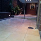 Business Profile Avatar