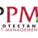 Business Profile Avatar