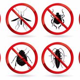 Business Profile Avatar