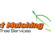 Business Profile Avatar