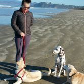 Business Profile Avatar