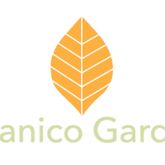 Business Profile Avatar