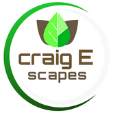 Business Profile Avatar