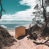 Business Profile Avatar