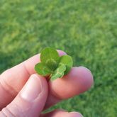 Business Profile Avatar