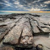 Business Profile Avatar