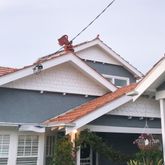 Business Profile Avatar