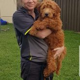 Business Profile Avatar