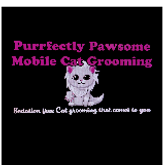 Business Profile Avatar