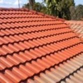 Business Profile Avatar