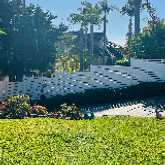 Business Profile Avatar