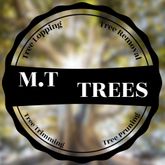 Business Profile Avatar