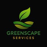 Business Profile Avatar