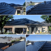 Business Profile Avatar