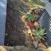 Business Profile Avatar