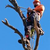 Business Profile Avatar