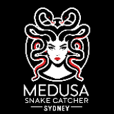 Business Profile Avatar