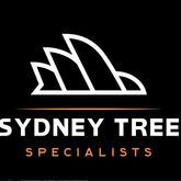 Business Profile Avatar